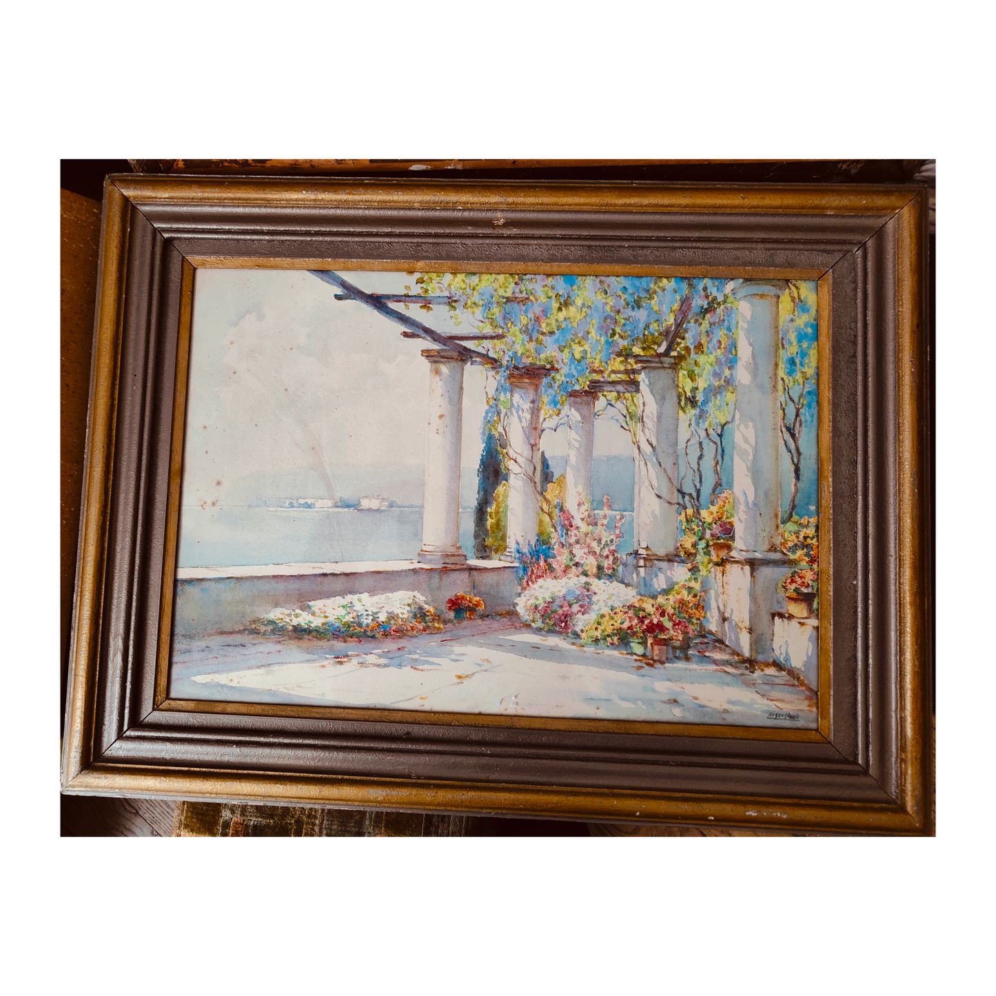 Flower Garden - Rosenstock Isidore