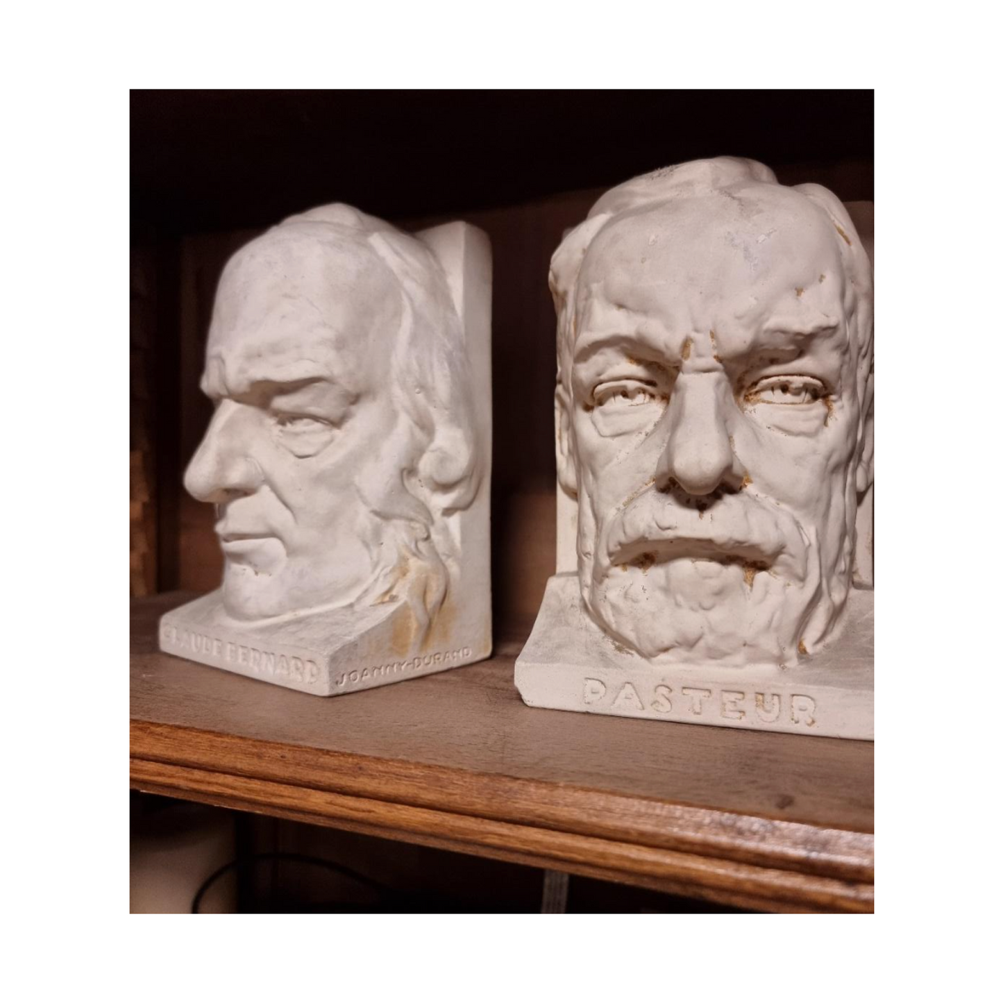 Serres-Livres plâtre têtes Pasteur Claude Bernard Joanny Durand sculpture scientifiques brocante authentique