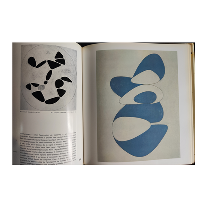 Vasarely livre d'art Spies Wiener art optique cinétique hongrois op art authentique