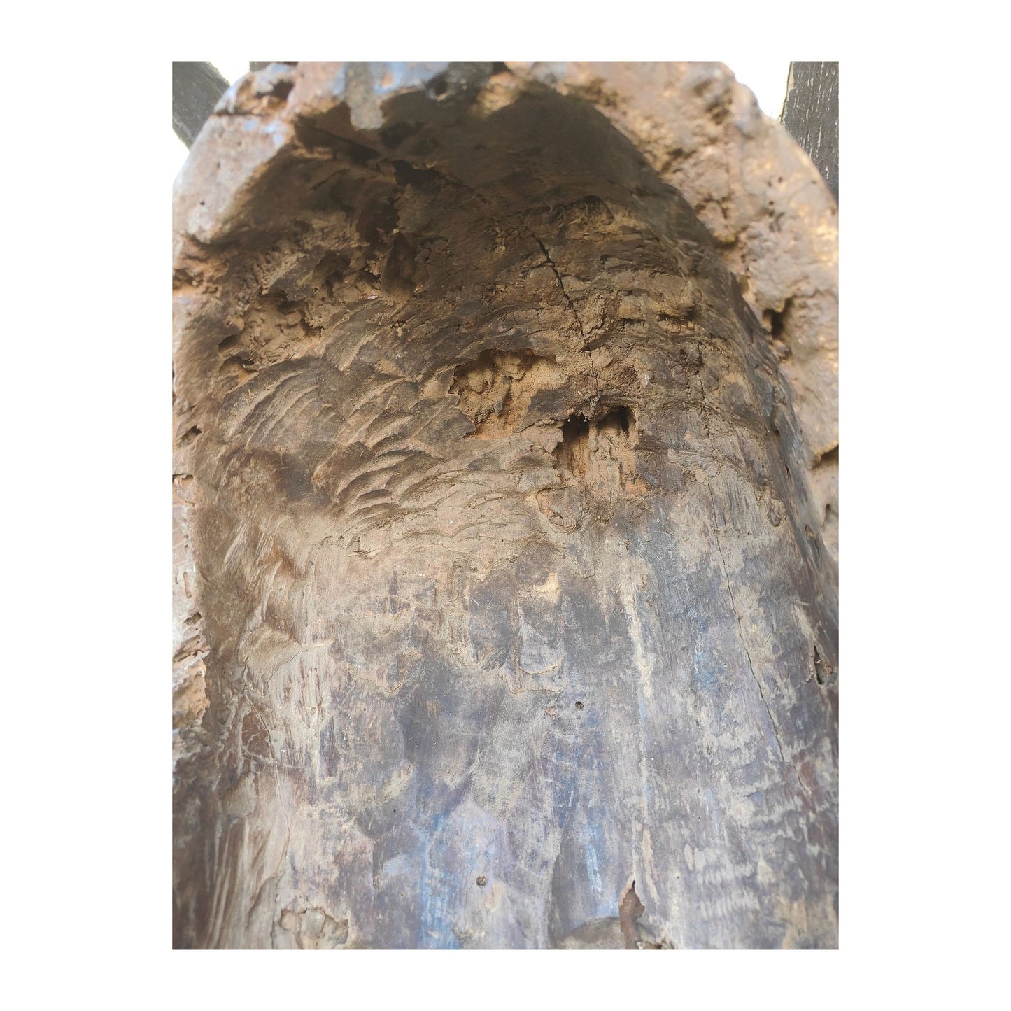 Masque africain traditionnel Fang du Gabon de type « Ngil », sculpté en bois avec pigments et fibres végétales, pièce authentique expertisée, 57 × 34 × 15 cm.