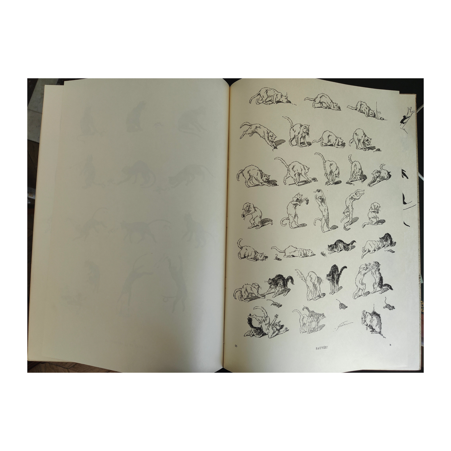 Of Cats – Steinlen