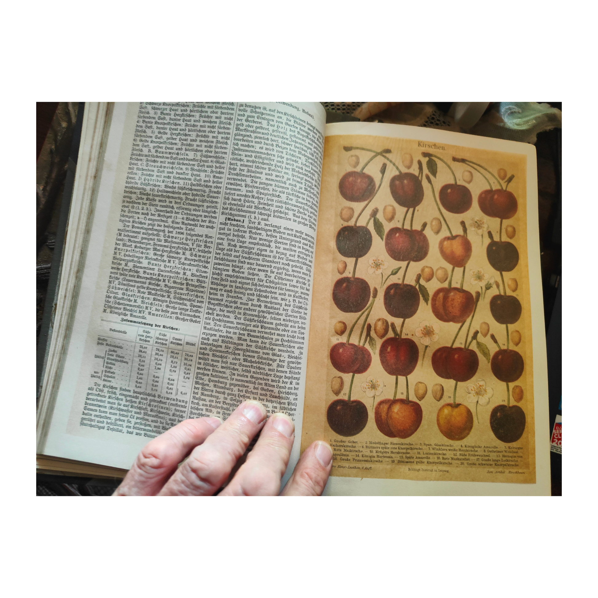 Ensemble complet de Meyers Konversations-Lexikon, 6e édition 1908, encyclopédie en 22 volumes avec supplément 1910/1911, reliure demi-cuir homogène en très bon état.