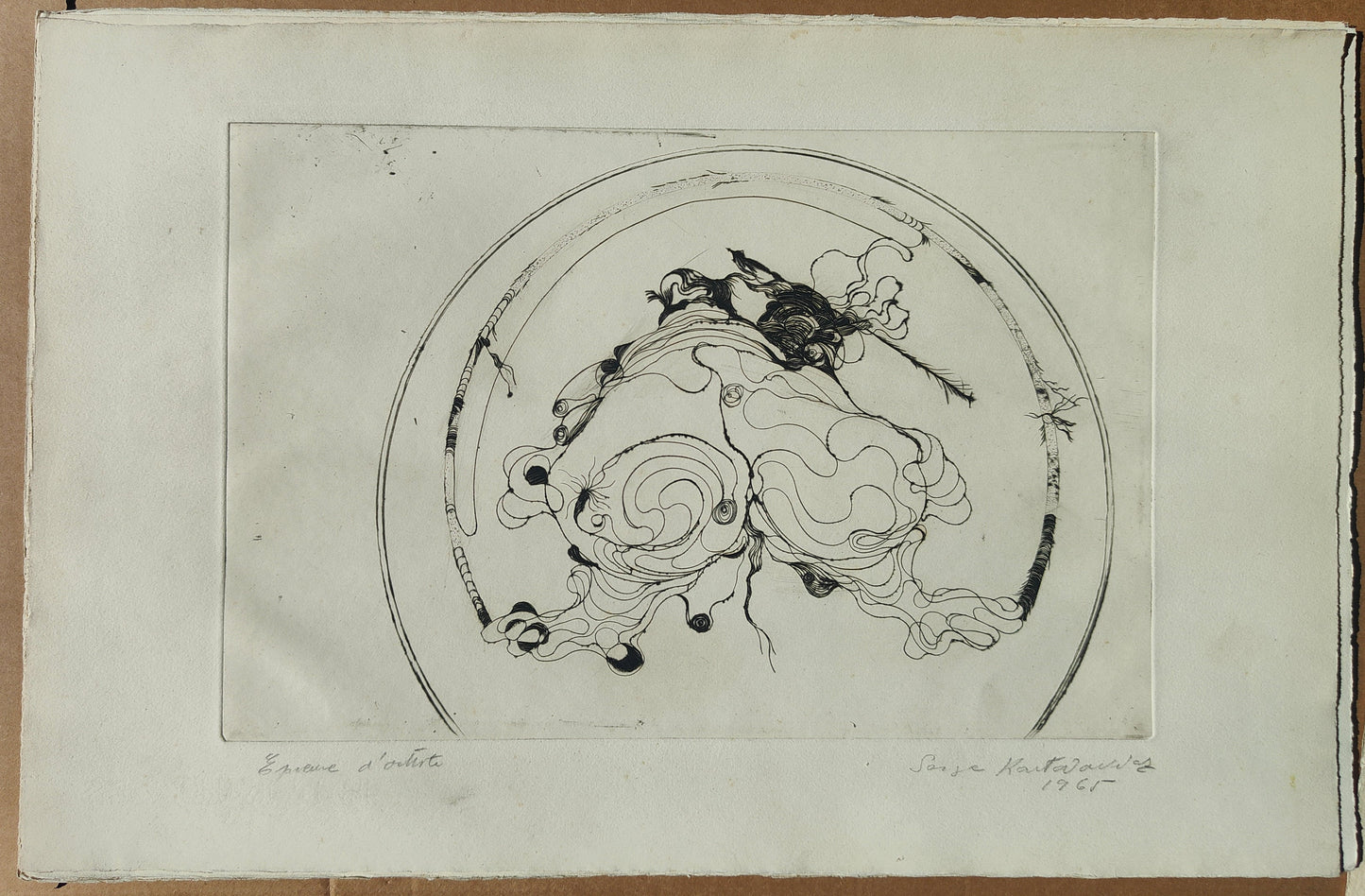 contre plongée-Serge Kantorowitz