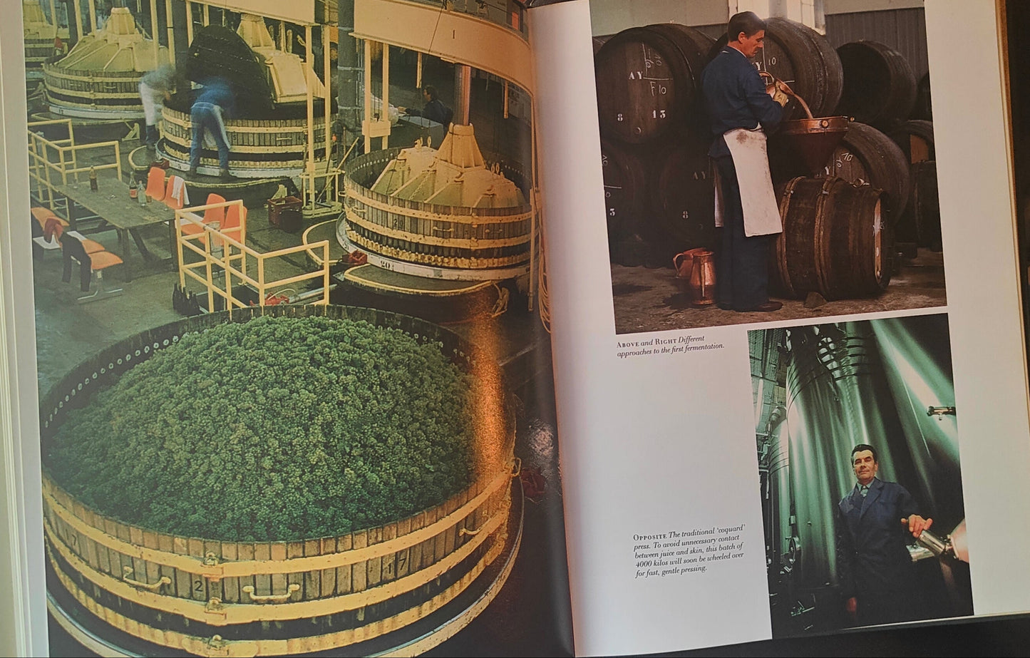 SIGNED / DÉDICACÉ - The Glory of Champagne (1989) First Edition - Don Hewitson - Very Good Condition