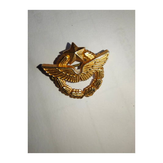 Insigne de brevet de pilote de l’Armée de l’Air, doré à l’or fin, broche de 25 mm, pièce militaire authentique idéale pour collectionneurs.
