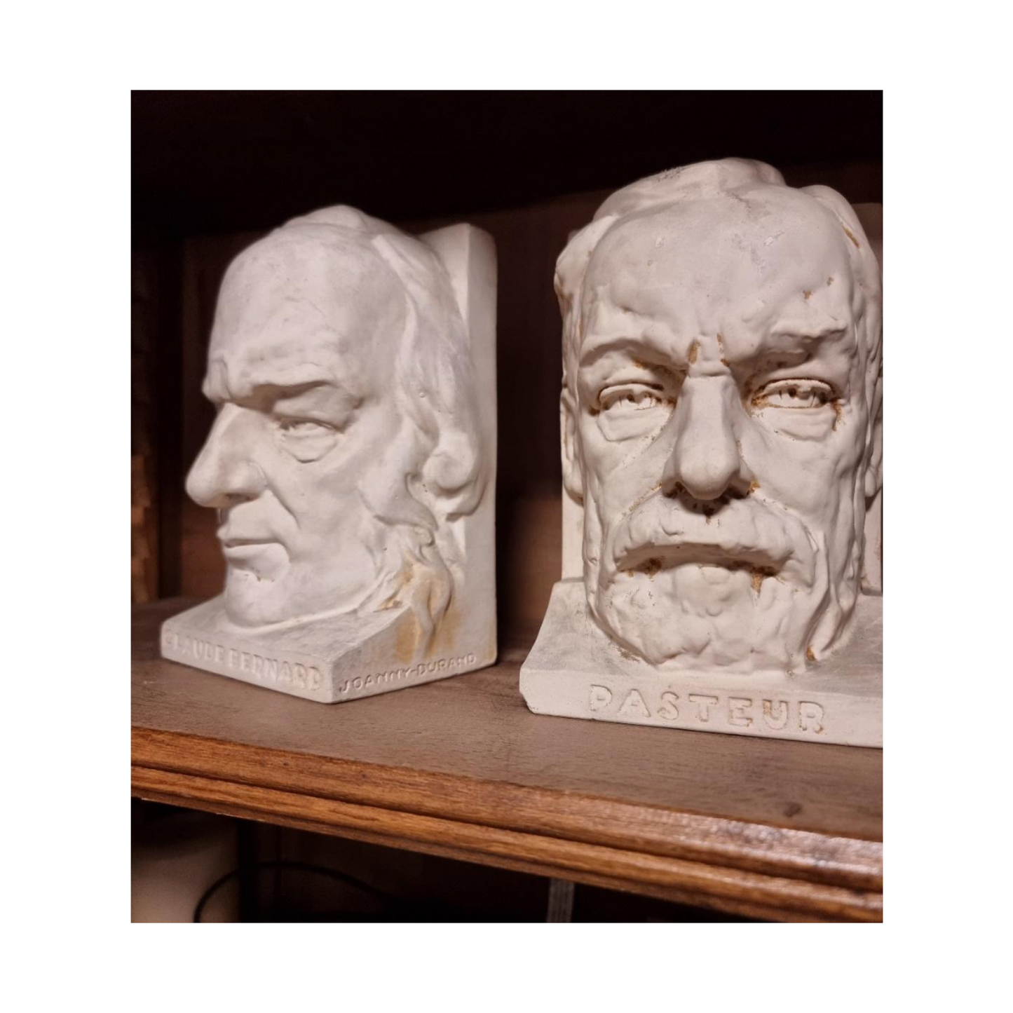 Serres-Livres en Plâtre - Têtes de Pasteur et Claude Bernard