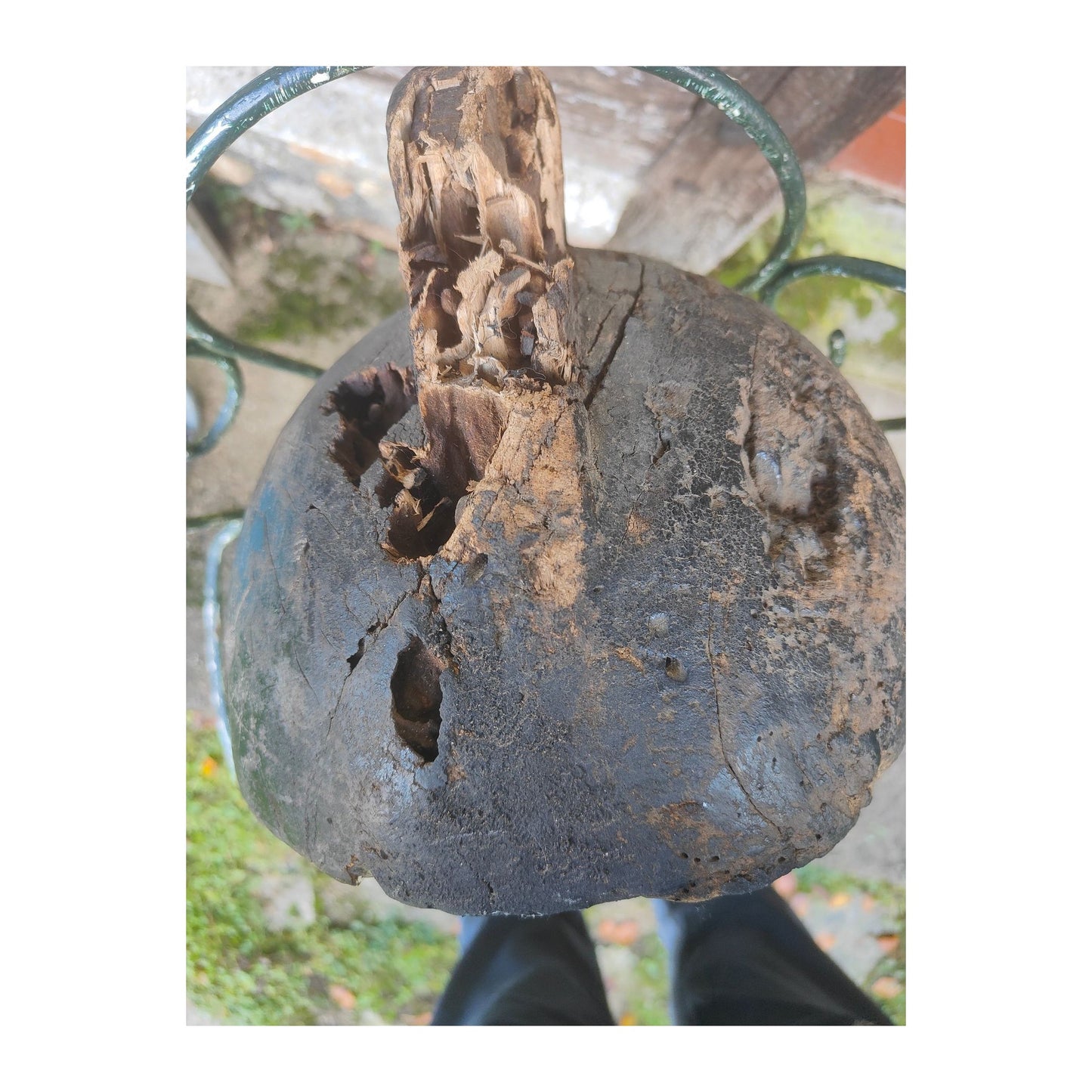 Masque africain traditionnel Fang du Gabon de type « Ngil », sculpté en bois avec pigments et fibres végétales, pièce authentique expertisée, 57 × 34 × 15 cm.