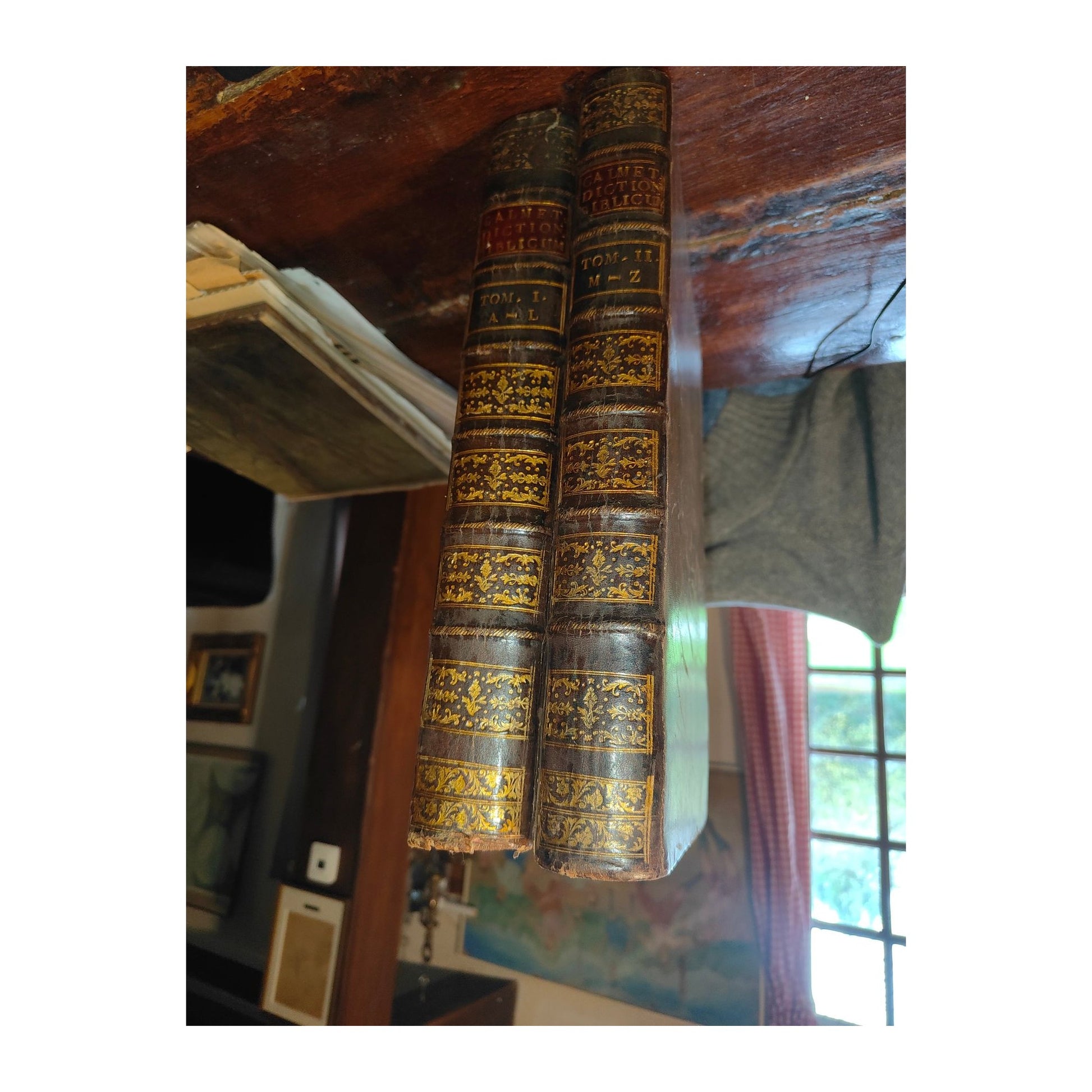 Image traitée - dictionnaire histoirique critique de la Bible( version latine)- Augustin Calmet