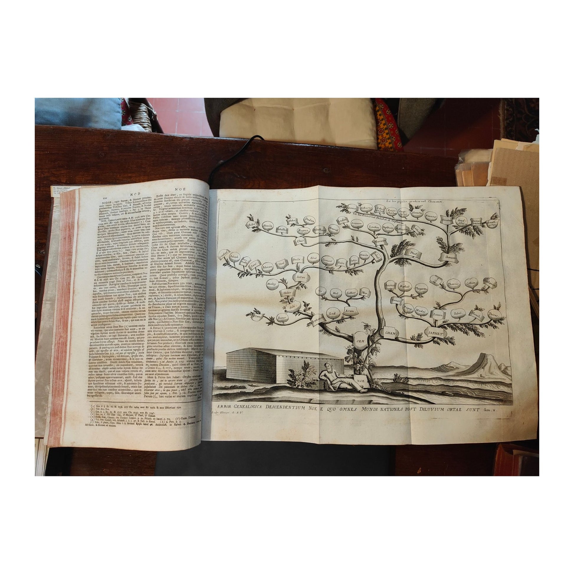 Image traitée - dictionnaire histoirique critique de la Bible( version latine)- Augustin Calmet