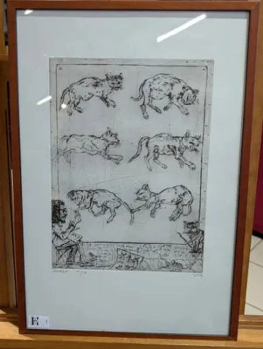 le petit chat....à Jérusalem- Mordecai Moreh